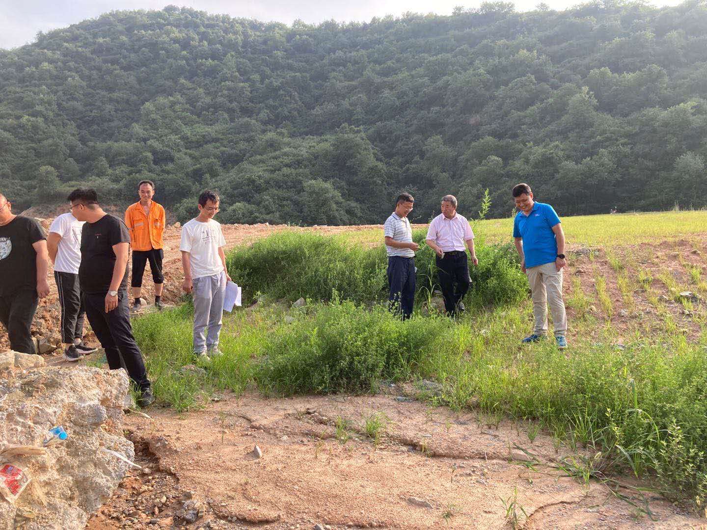 陕西绿馨对银西铁路项目水土保持措施落实工作进行检查(图3)